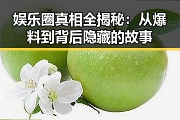 娱乐圈真相全揭秘:从爆料到背后隐藏的故事