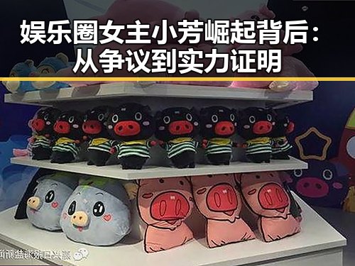 娱乐圈女主小芳崛起背后：从争议到实力证明