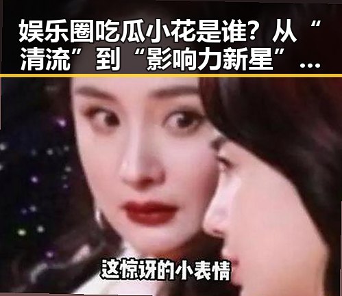 娱乐圈吃瓜小花是谁？从“清流”到“影响力新星”的转变引热议