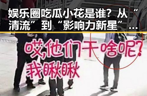 娱乐圈吃瓜小花是谁？从“清流”到“影响力新星”的转变引热议